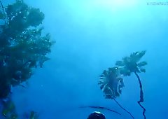 AC underwater